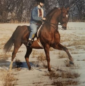 Meet your Posher, Leslie